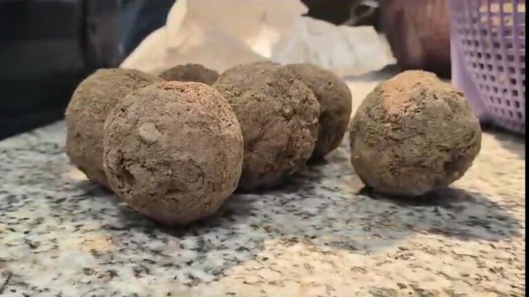 Agra News: सीड्स बॉल के जरिए अब आएगी हरियाली, गाय के गोबर से किया जा रहा तैयार, कीमत मात्र 2 रुपये