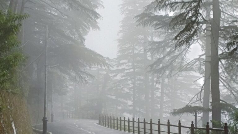 पहाड़ी राज्य में मंडराया बाढ़ का भी खतरा? हिमाचल के इन पांच जिलों में भारी बारिश का ऑरेंज अलर्ट