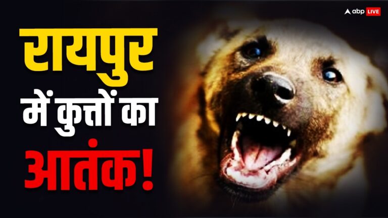 Dog Attack: रायपुर में पिटबुल का आतंक! पार्सल देने आए युवक पर झपटा, घर के बाहर तक किया पीछा