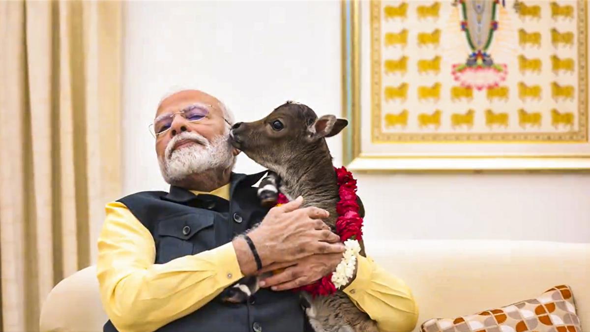 Gaumata has become Rajmata in Maharashtra politics Rakesh Achal