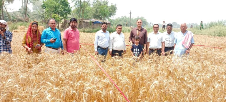 crop cutting