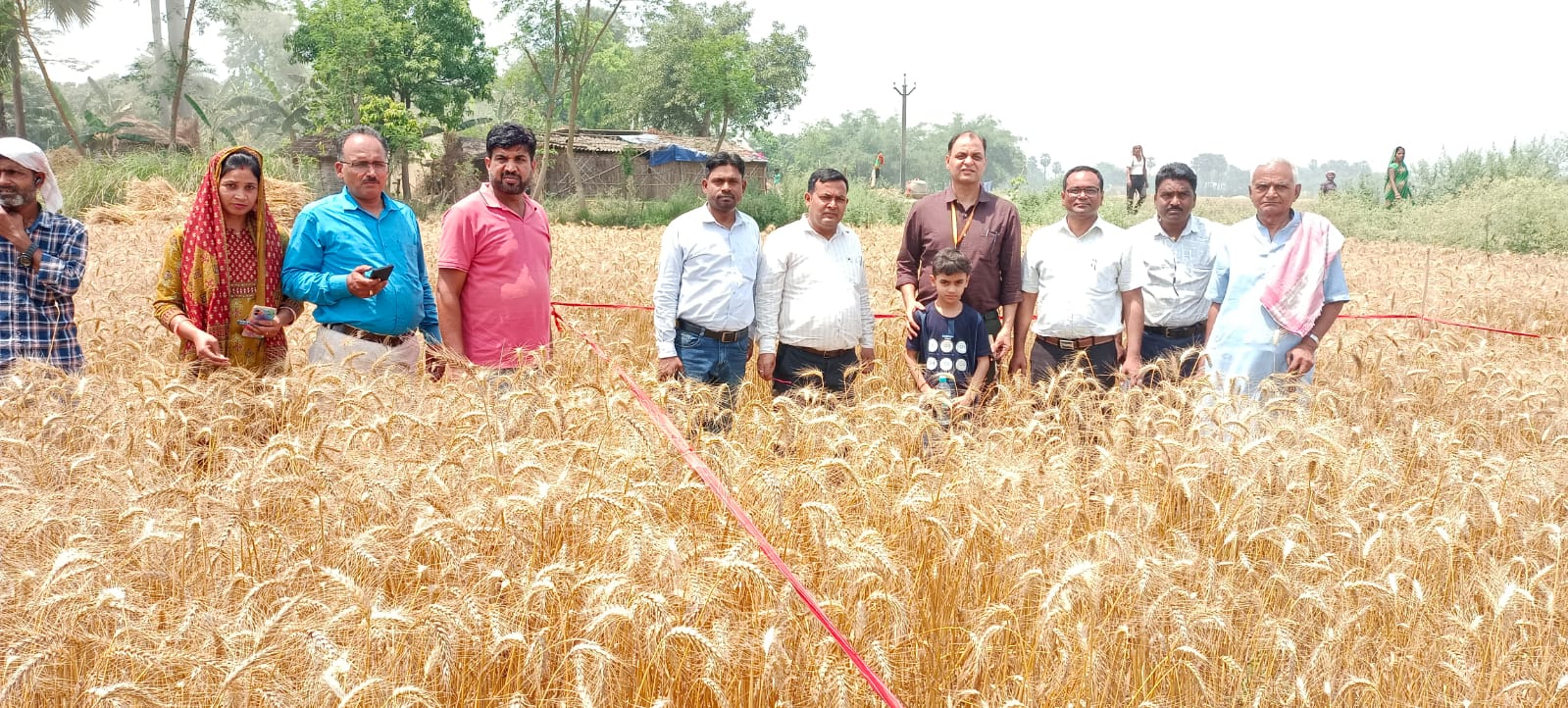 crop cutting
